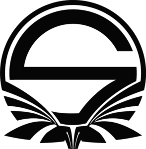 Singularity Esports