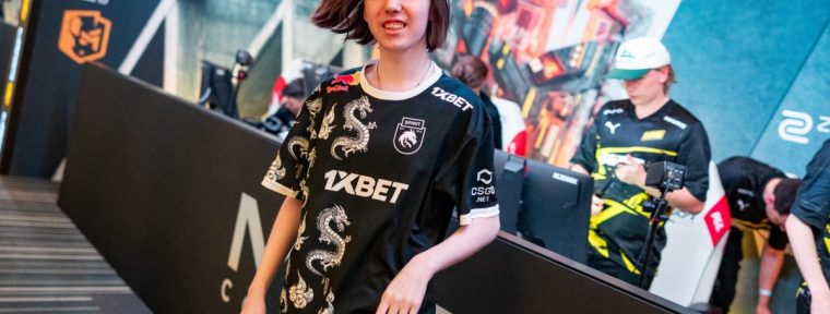 Стикеры donk: падение цен после вылета Team Spirit