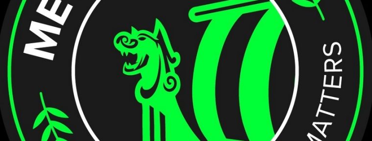 nilo пропустит Global Esports Tour Rio 2024