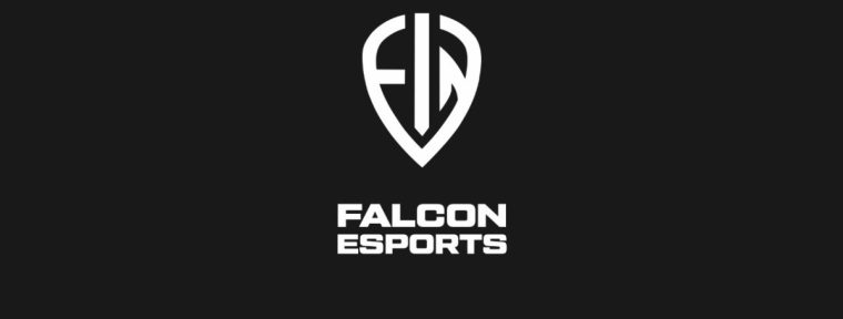 CEO Falcon eSports: «Дайте мне пол года и я вам сделаю пять таких же как donk»