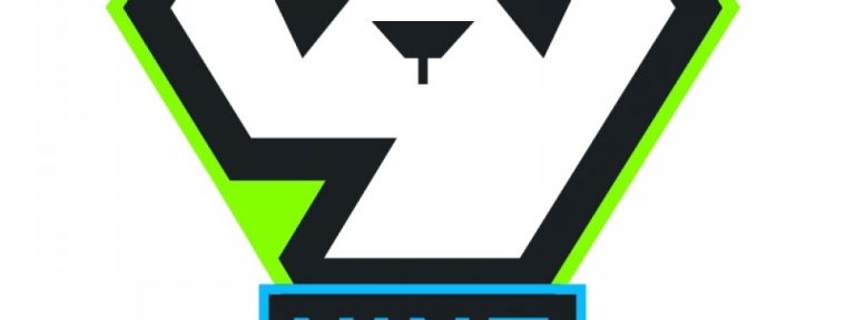 Менеджер 9Pandas: «r3salt попросил, чтобы мы его забрали к себе»