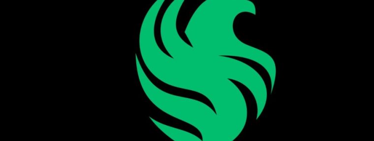 Team Falcons впервые не попали в плей-офф турнира по Dota 2