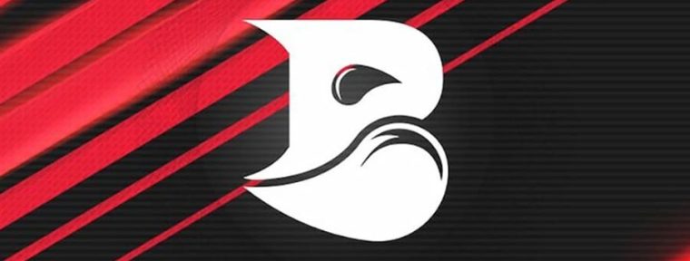 Слух: BLEED Esports собирают академический состав с игроками из СНГ