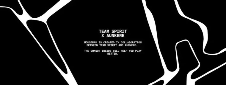Team Spirit совместно с Aunkere выпустят игровые коврики