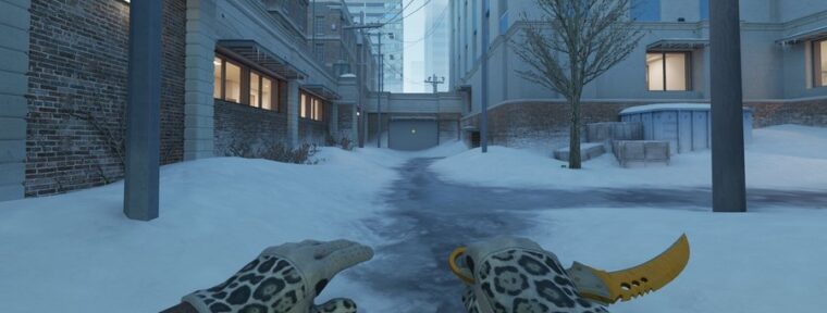 МОЛЕКУРЯТНИК считает, что Valve введут «Патруль» для обычных пользователей