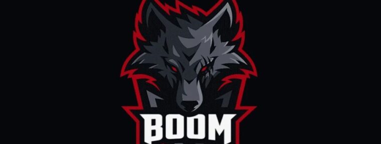 BOOM Esports получили слот на DreamLeague Season 25