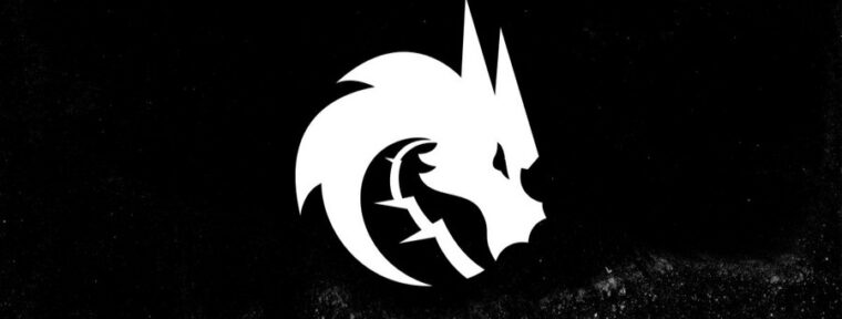 Team Spirit — чемпионы DreamLeague Season 25