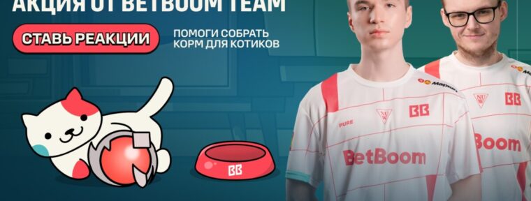 BetBoom Team запустили благотворительную акцию в честь Дня кошек
