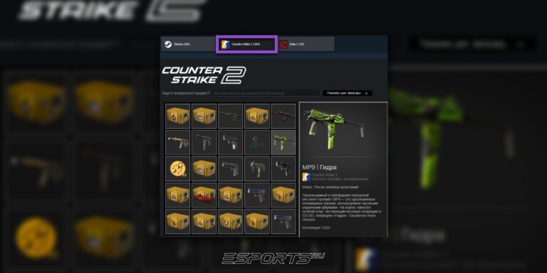 Раздел Counter-Strike 2 в инветаре