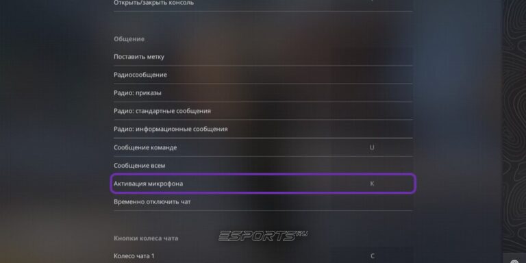 Установлена нужная кнопка для активации микрофона