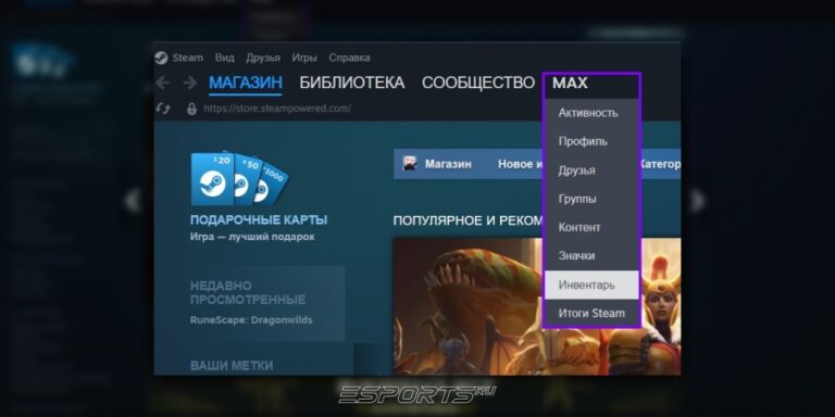 Инвентарь в Steam