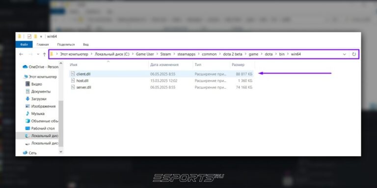 Внутриигровые файлы Dota 2