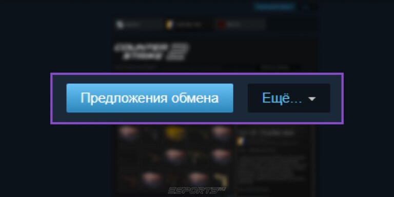Раздел "Предложения обмена" в Стим