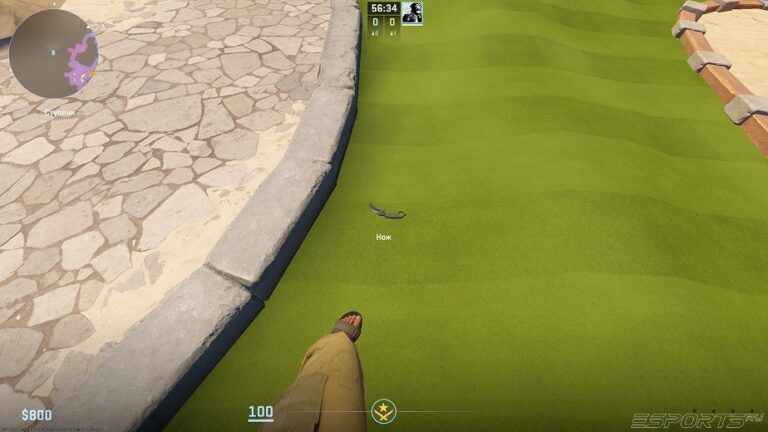 На месте выброшенного ножа появится его обновленная модел