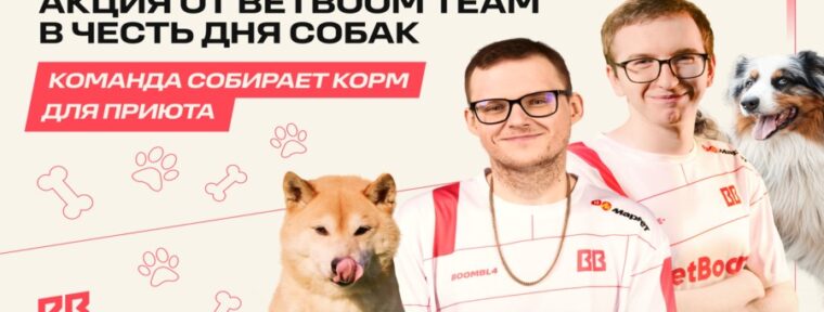 BetBoom Team анонсировали благотворительную акцию, посвященную Международному дню собак