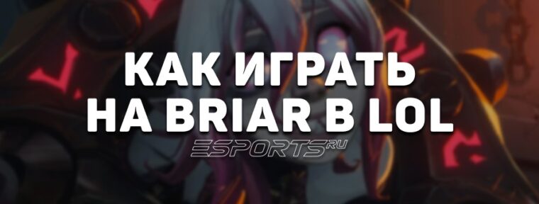 Лавка мини-гайдов: лес Брайер — как играть на герое в League of Legends