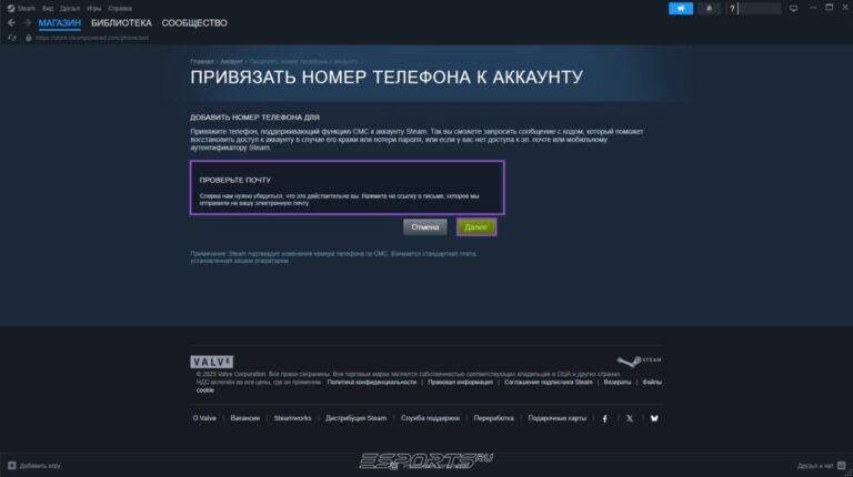 номер стима