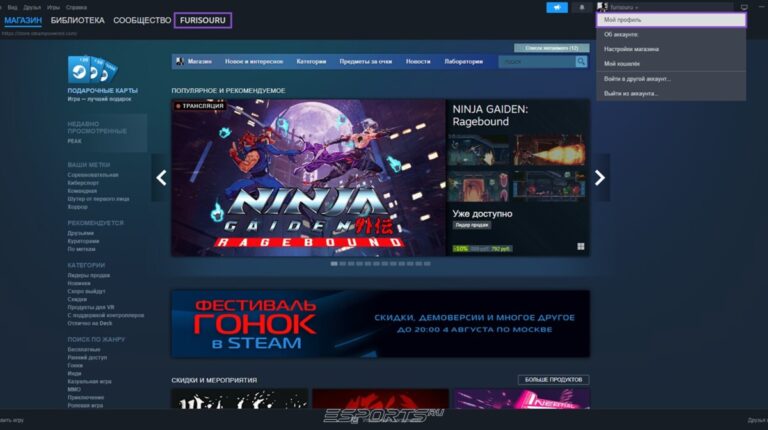 открытый инвентарь стим