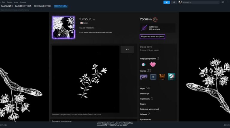как открыть инвентарь в стиме для трейда