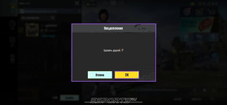 Как удалить друга в ПАБГ Мобайл