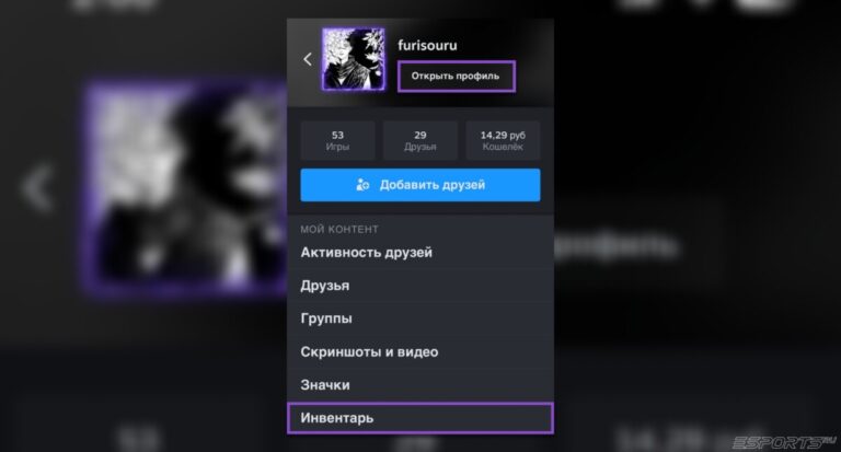 инвентарь стим телефон