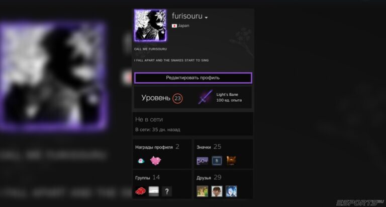 как открыть инвентарь в стиме через телефон