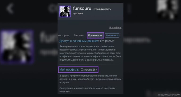 как открыть инвентарь в настройках стим профиля