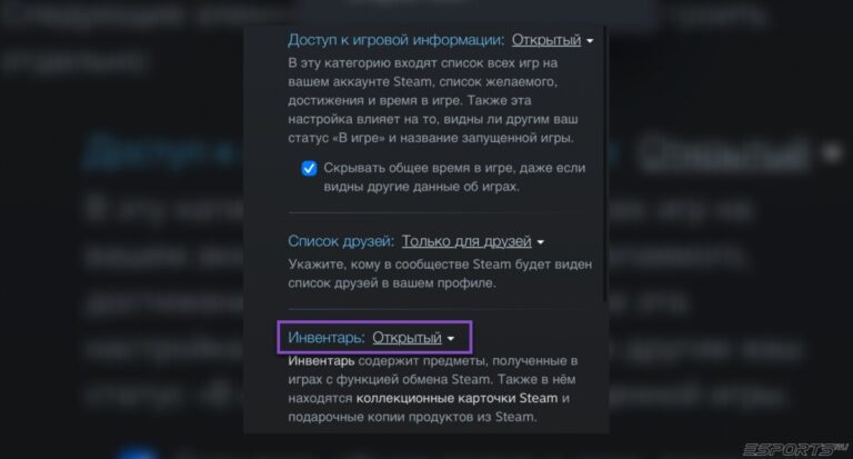 как открыть инвентарь в стиме на телефоне
