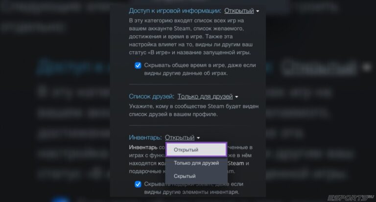 как открыть инвентарь в настройках стим
