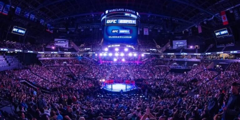 UFC на Barclays Arena Hamburg
