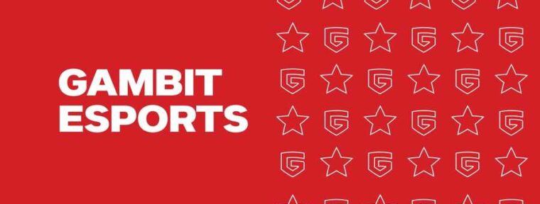 Harumi: «Gambit планируют вернуться в CS»