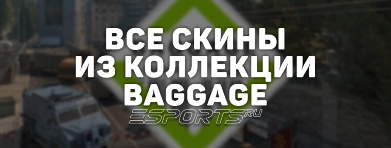 Все скины из коллекции Baggage в CS2