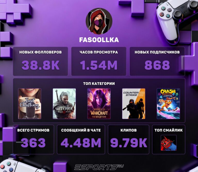 Twitch Recap 2025 fasoollka