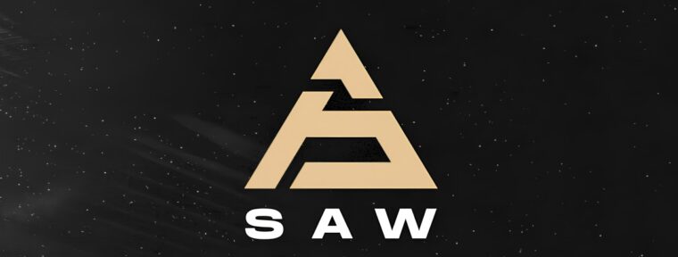 100 Thieves заинтересовалась переходом игрока SAW