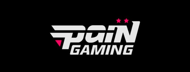PaiN Gaming ведут переговоры с vsm и ewjerkz