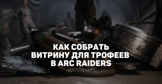 Как собрать «Витрину для трофеев» в ARC Raiders