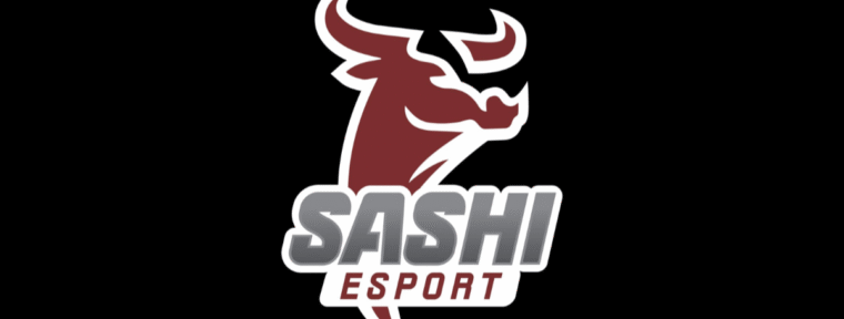 Lucky покинул Sashi Esport и ушёл в инактив