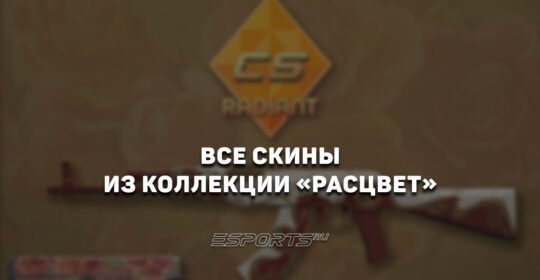 Все скины из коллекции «Расцвет» в CS2